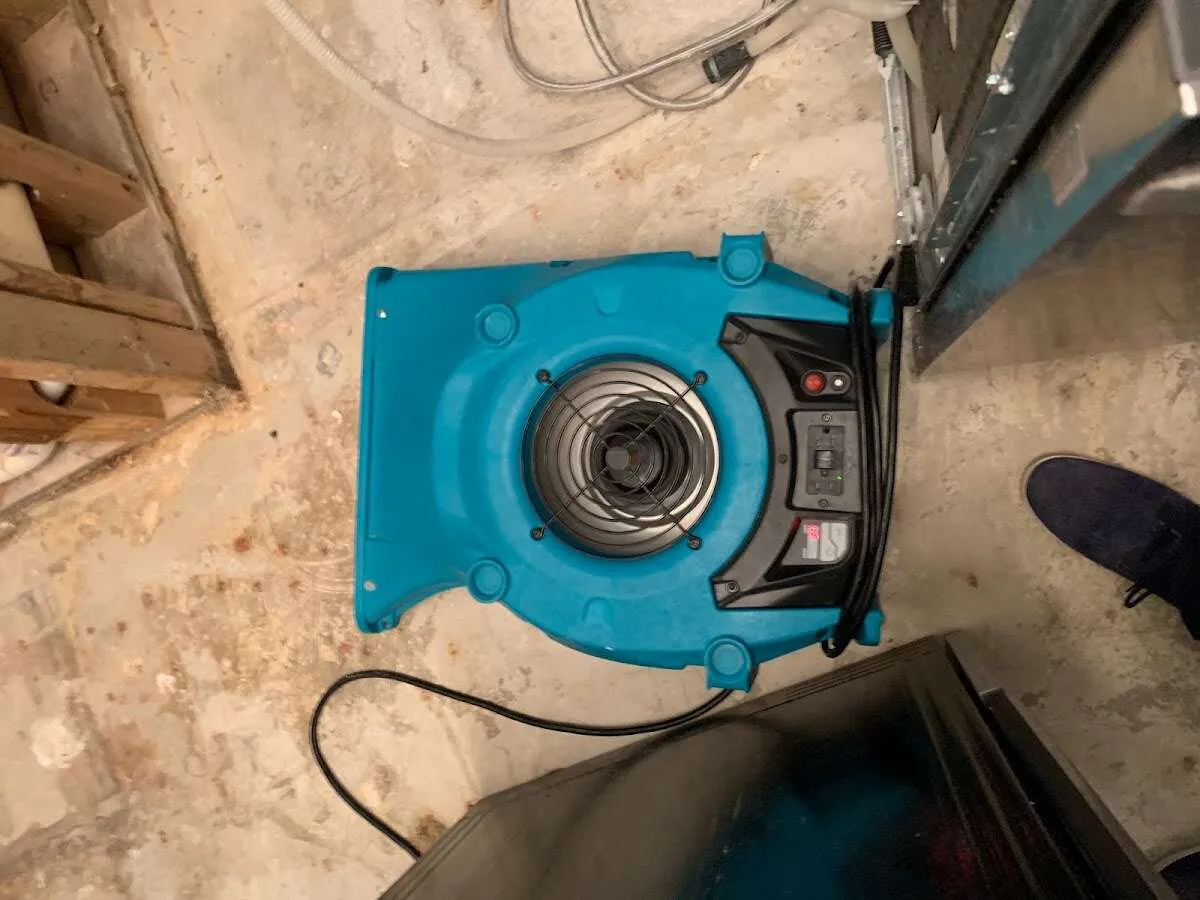 Air mover drying equipment for Mold Remediation & Removal in Escalon